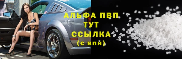 тгк Снежинск