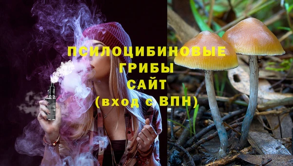 гидропоника Бугульма